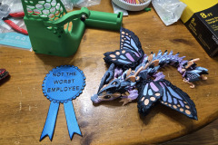 20250313_192217-Copy